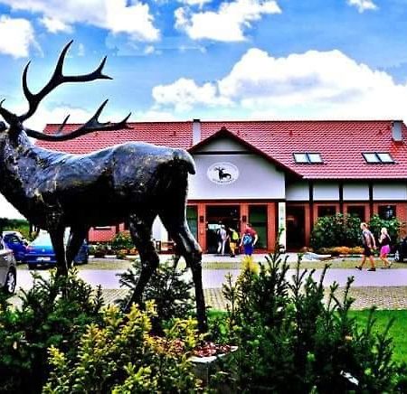 Pensjonat I Restauracja Hubertowka Milicz Exteriör bild